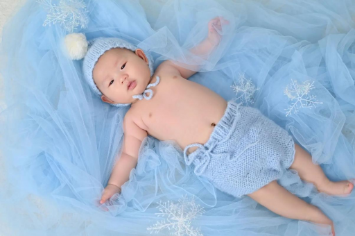 杞县宝宝树怎么样